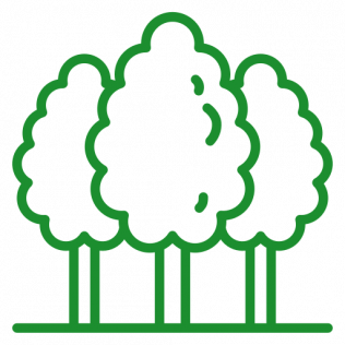 tree cabling service icon